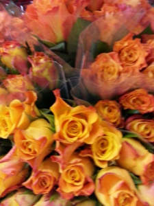 Golden Rose