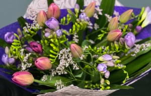 Tulip/freesia