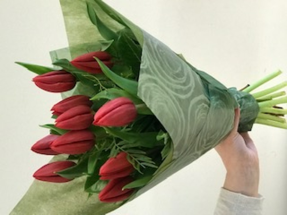 Tulip Special
