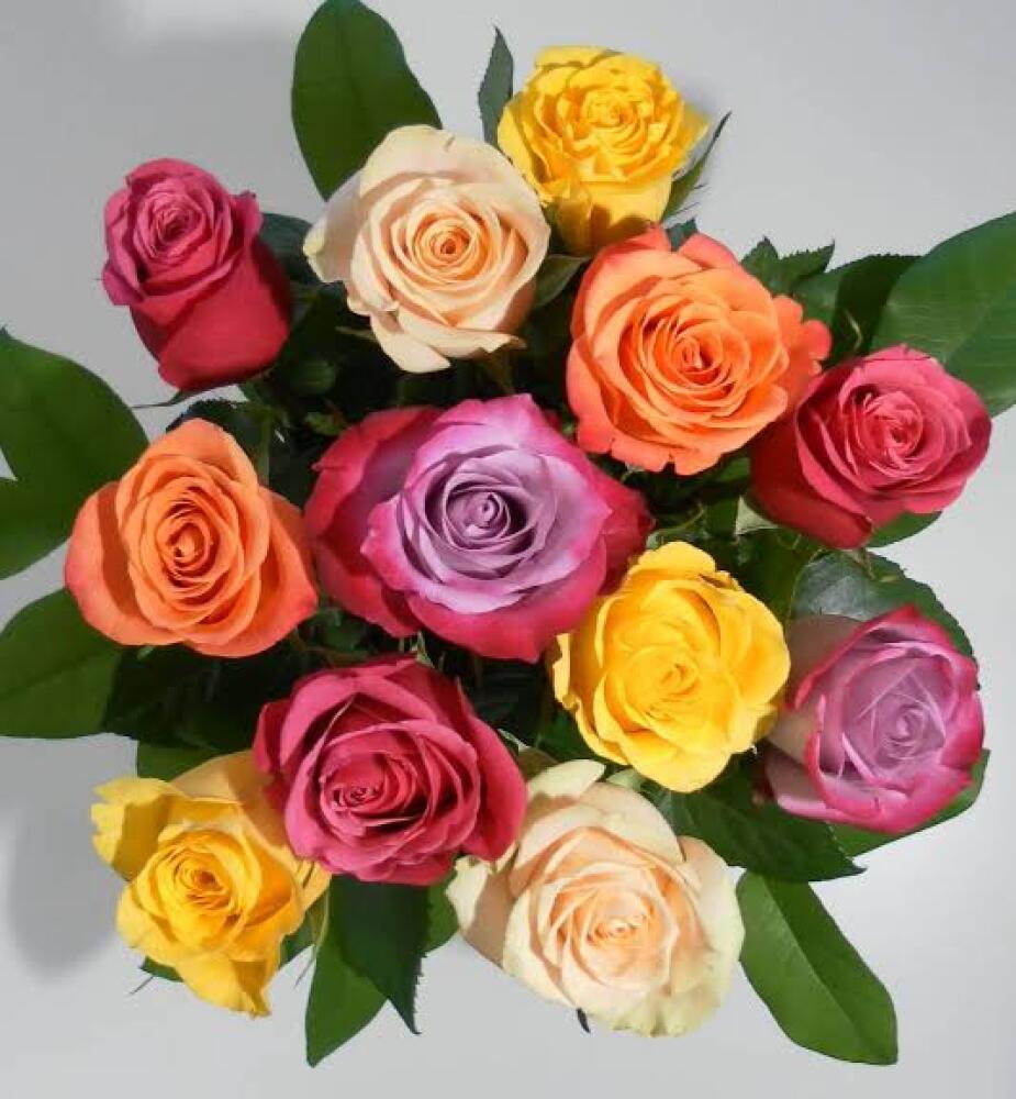 Mixed Bright Roses