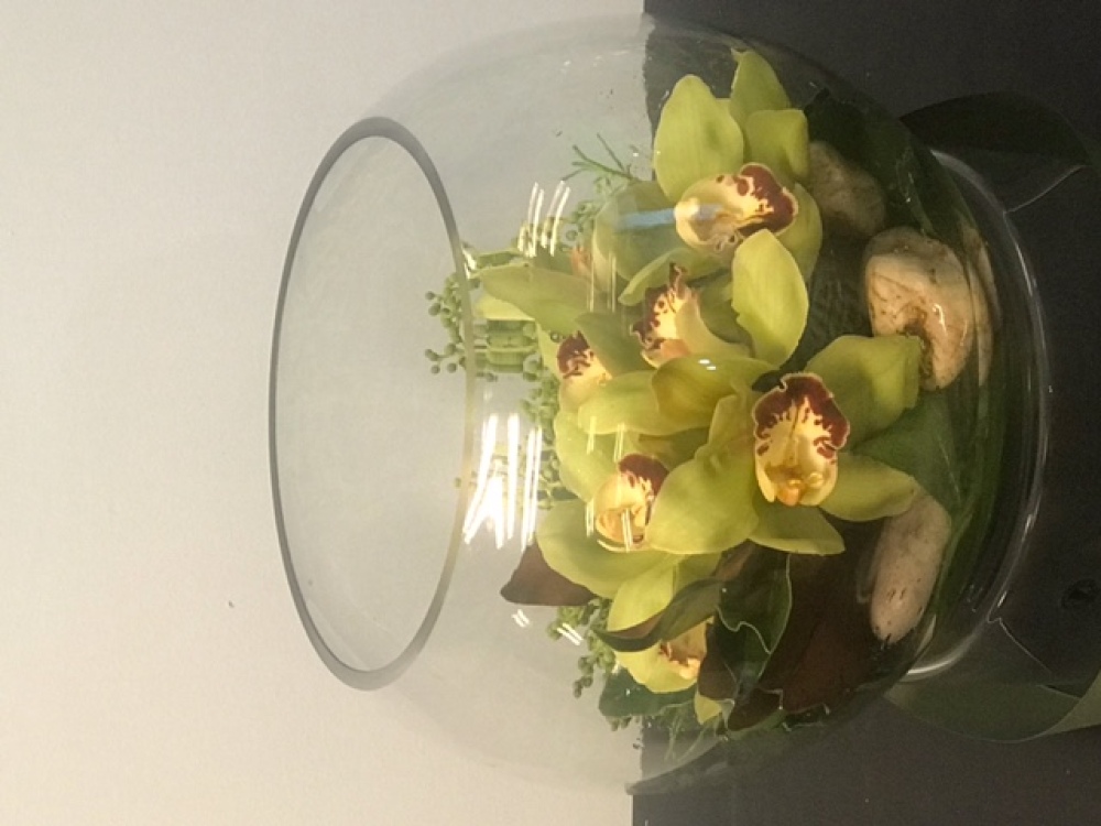 Orchids in a Fishbowl Vase