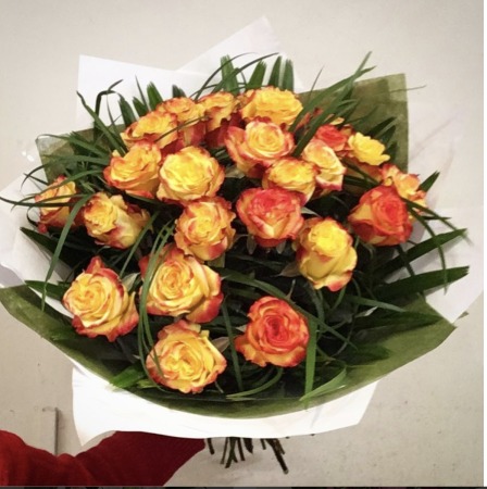 Summer Roses