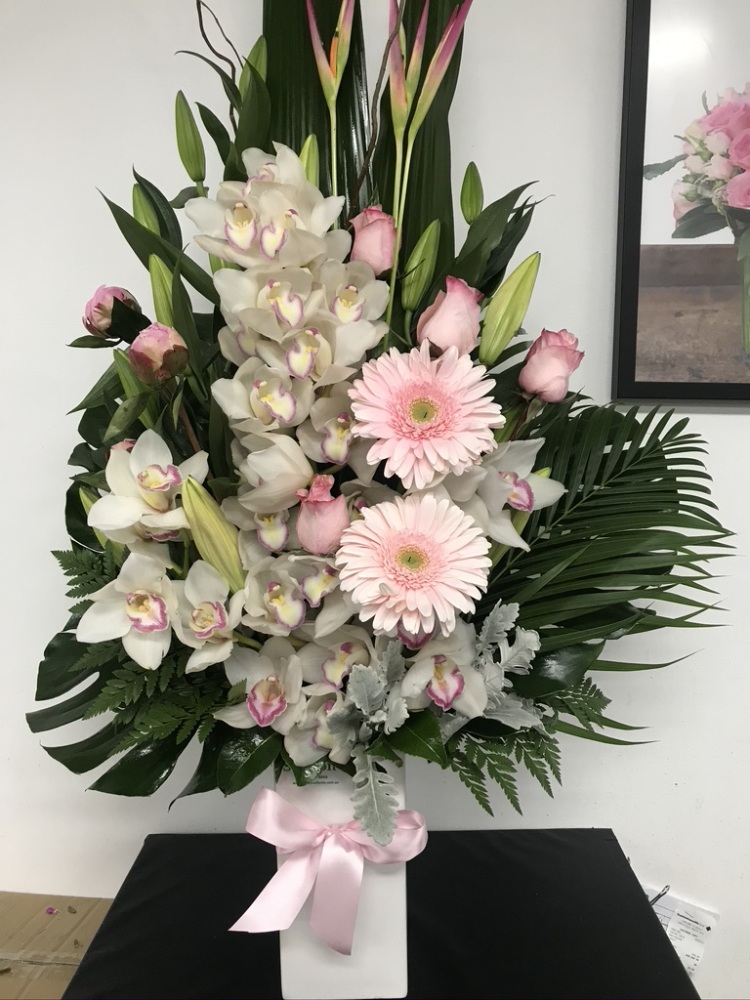 Premium Display