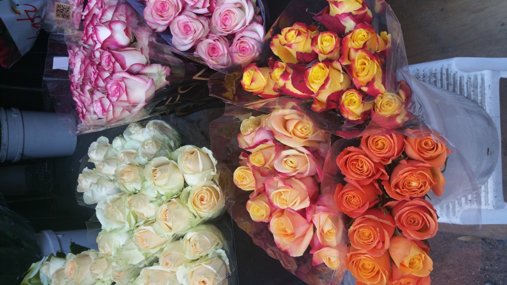 Mixed Roses