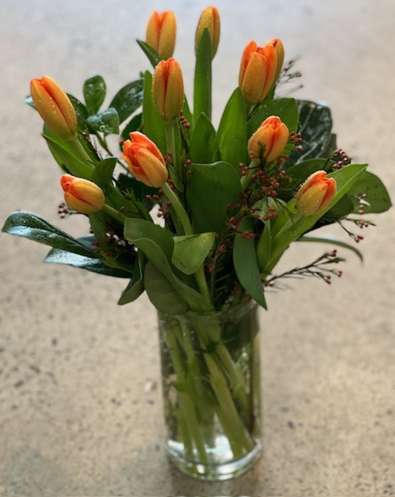 Orange Tulips