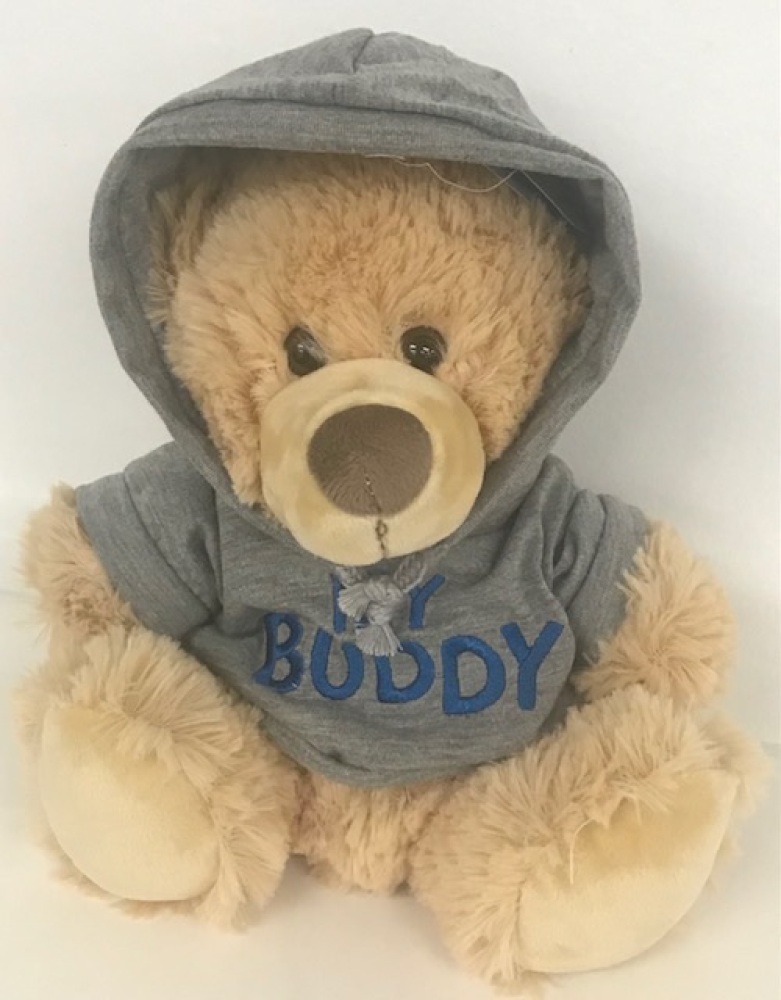 My Buddy Bear