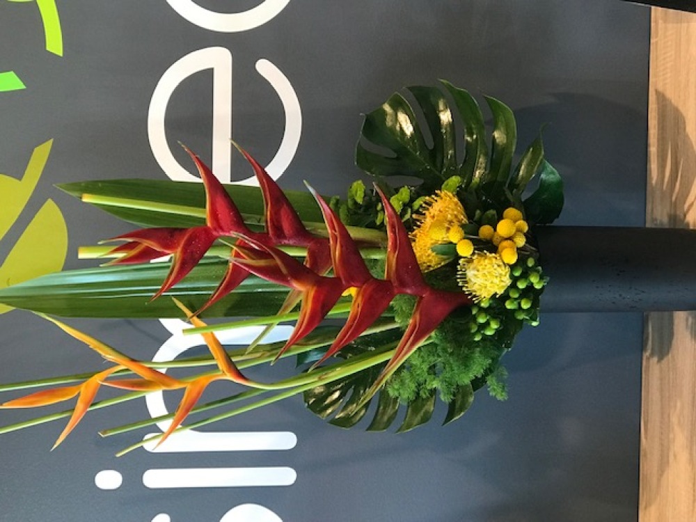 Hilda Modern Arrangement