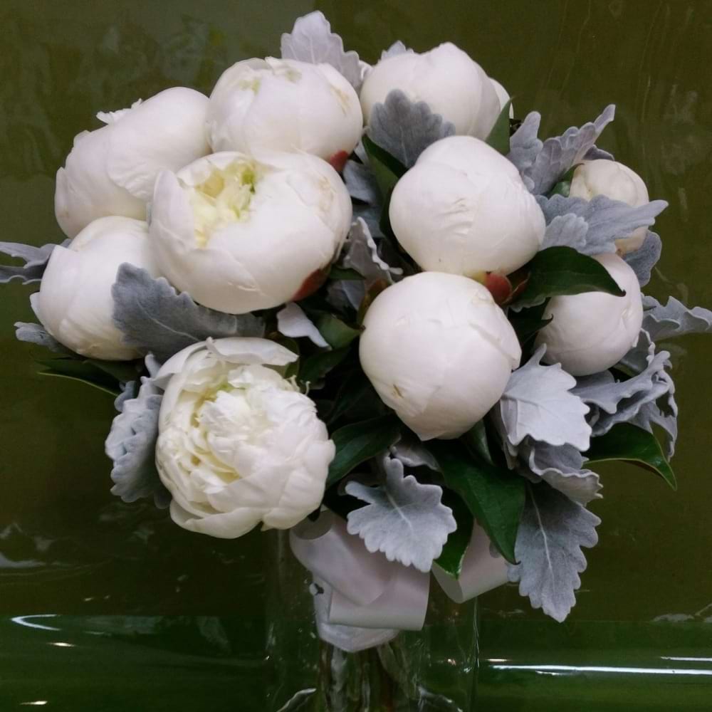 White Peony