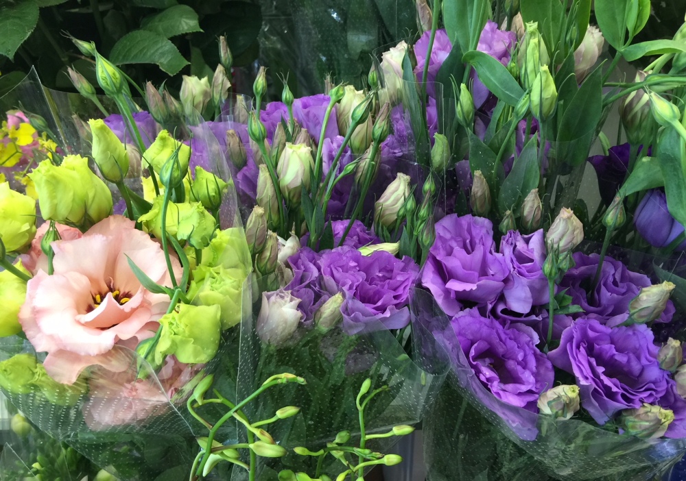Let Simeon select fresh flowers out of todays Market Pick